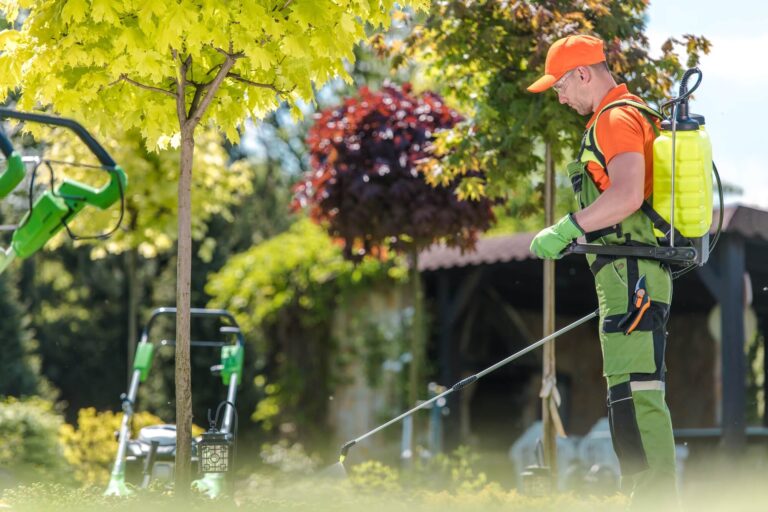 tree-fertilization