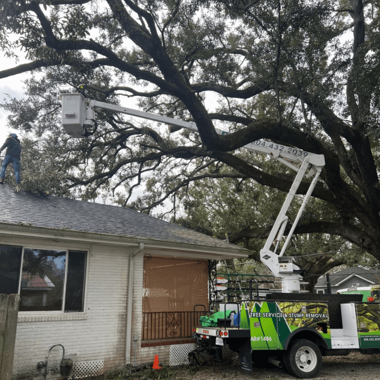 Emergency tree service crew clearing fallen tree from driveway in Metairie LA