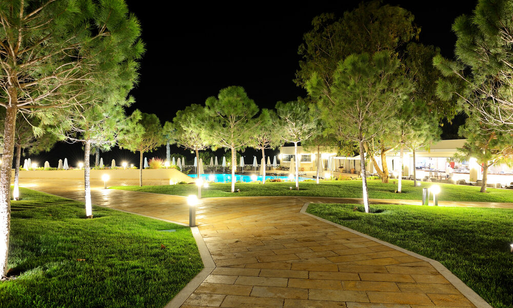 The-trees-in-night-illumination-at-luxury-hotel