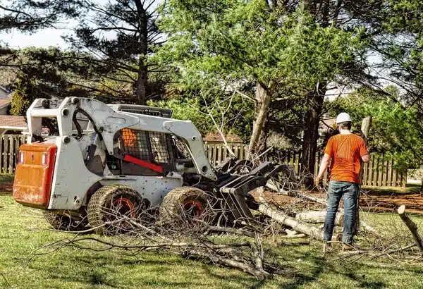Dozer helping in tree removal work