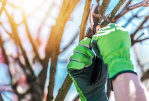 Tree-Trimmers