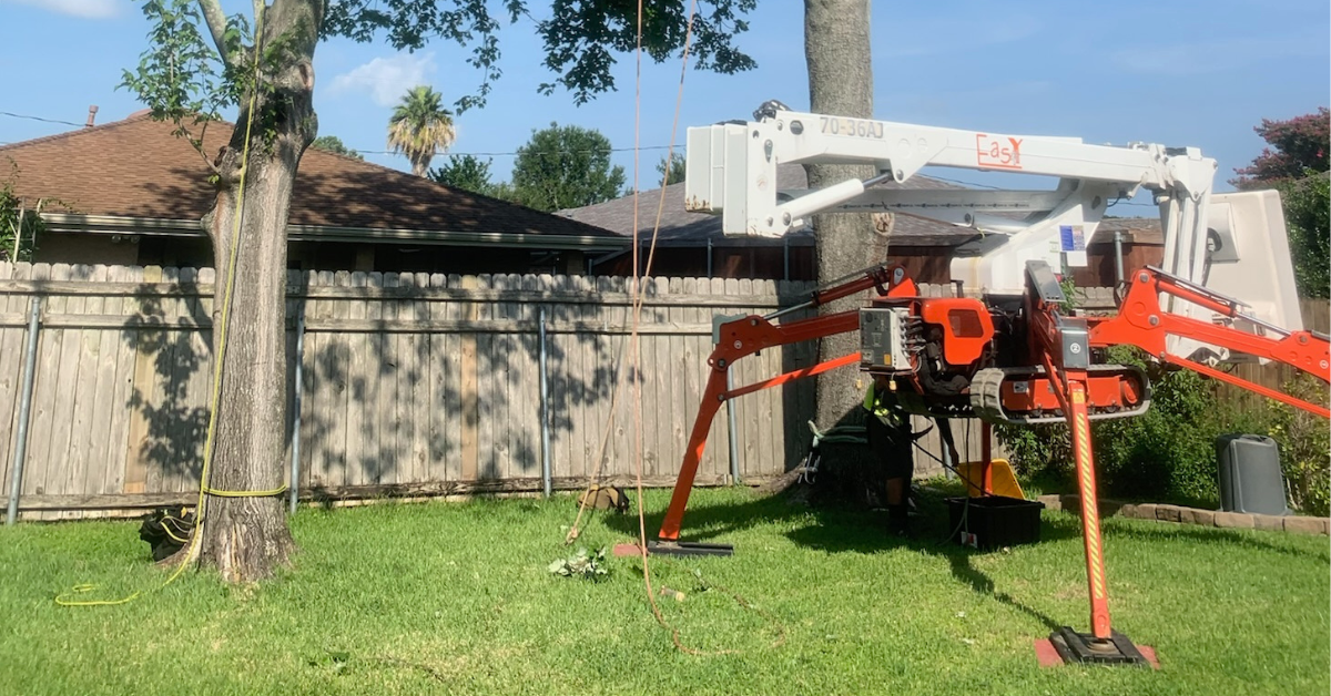 Tree planting crew wearing safety gear and using professional equipment at a residential site in New Orleans.