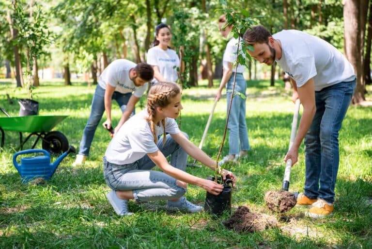 Community-Involvement-In-Tree-Preservation-A-Perfeect-Cut-Tree