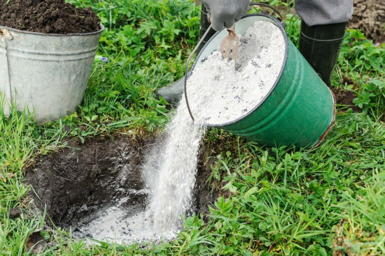 Organic Fertilizer
