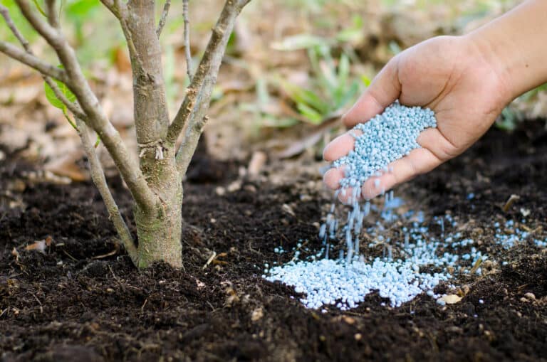 Tree-Fertlizing