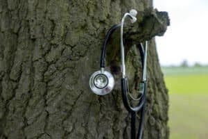 health and condition