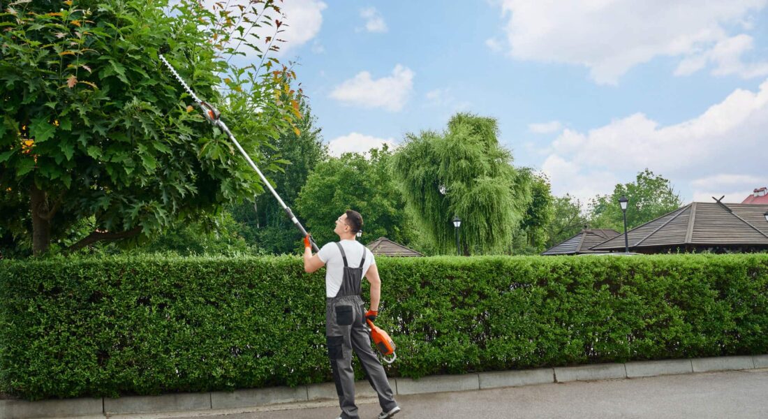 worker trimming tree
